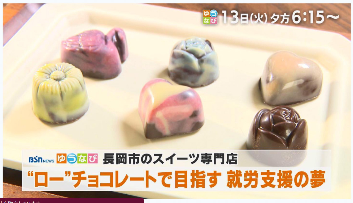 メディア掲載